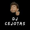 undefined DJ CEJOTAS