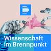 undefined Wissenschaft im Brennpunkt