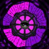 undefined Duncan Trussell Family Hour