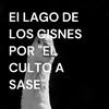undefined El LAGO DE LOS CISNES POR "EL CULTO A SASE"