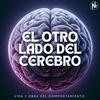 undefined El Otro Lado del Cerebro