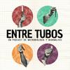 undefined Entre Tubos