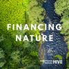undefined Financing Nature
