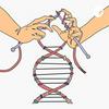 undefined Genética y Evolución recuperación