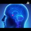 undefined Glandula pineal