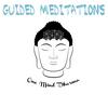 undefined Guided Meditations & Talks