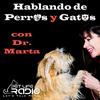 undefined Hablando de Perros y Gatos con Dr. Marta- Pet Life Radio Original