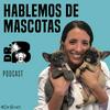 undefined Hablemos de Mascotas con Dr.B Vet