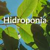 undefined Hidroponia