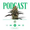 undefined Home Grow TV Talk Show
