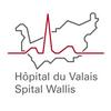 undefined Hôpital du Valais - Spital Wallis