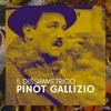 undefined Il Dissimmetrico Pinot Gallizio
