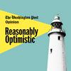 undefined Reasonably Optimistic