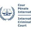 undefined International criminal court with Sam and Matteo