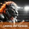 undefined Juego de anoche - Leones del Caracas