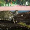 undefined La Paciencia - Un super poder
