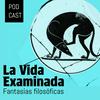 undefined La vida examinada