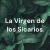 undefined La Virgen de los Sicarios