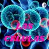 undefined LAS CELULAS