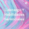 undefined Liderazgo Y Habilidades Gerenciales