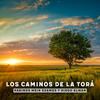 undefined Los caminos de la Torá