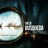 undefined En La Búsqueda