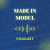 undefined Made In Modul - 2022