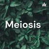 undefined Meiosis