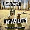 undefined Hablemos de AGILITY