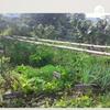 undefined Mi Huerta Casera