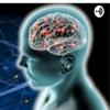 undefined Neurociencia y Plasticidad Cerebral