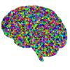 undefined Neurology for Vets and Pets