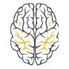 undefined Neuropedia Podcast نيوروبيديا بودكاست