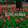 undefined Nevado del Huila