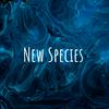 undefined New Species