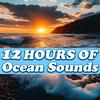 undefined Ocean Sounds - 12 Hours