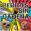 undefined Perros Sin Cadena