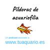 undefined Píldoras de acuariofilia