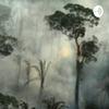 undefined Podcast Inglês