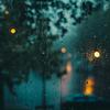 undefined Rainy Nights - Gentle Thunderstorm Sleep Sounds