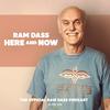 undefined Ram Dass Here And Now