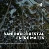 undefined Sanidad Forestal entre Mates