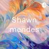 undefined Shawn mendes