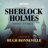 undefined Sherlock Holmes Short Stories