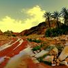 undefined شيلات