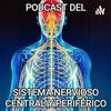 undefined Sistema Nervioso