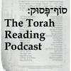 undefined Sof Pasuk: The Torah Reading Podcast