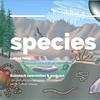 undefined Species Hall of Fame