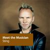 undefined Sting: Meet the Musician