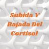 undefined Subida Y Bajada Del Cortisol